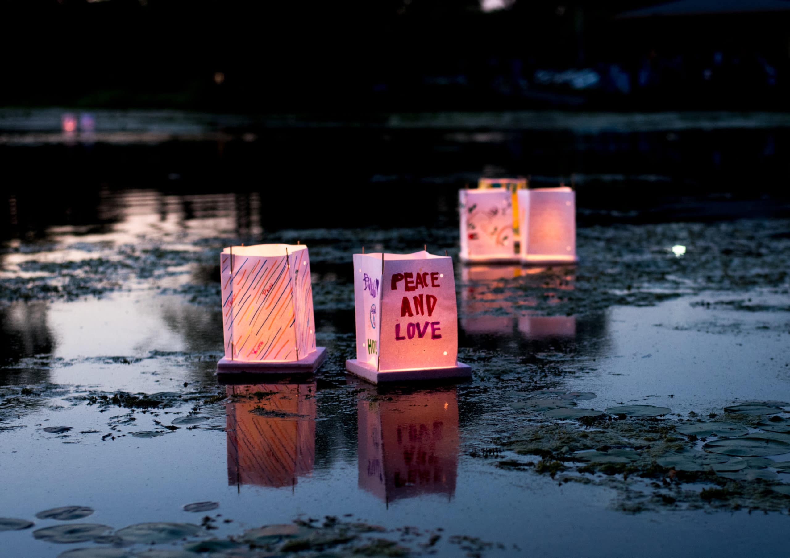 Paper lanterns floating on a lake