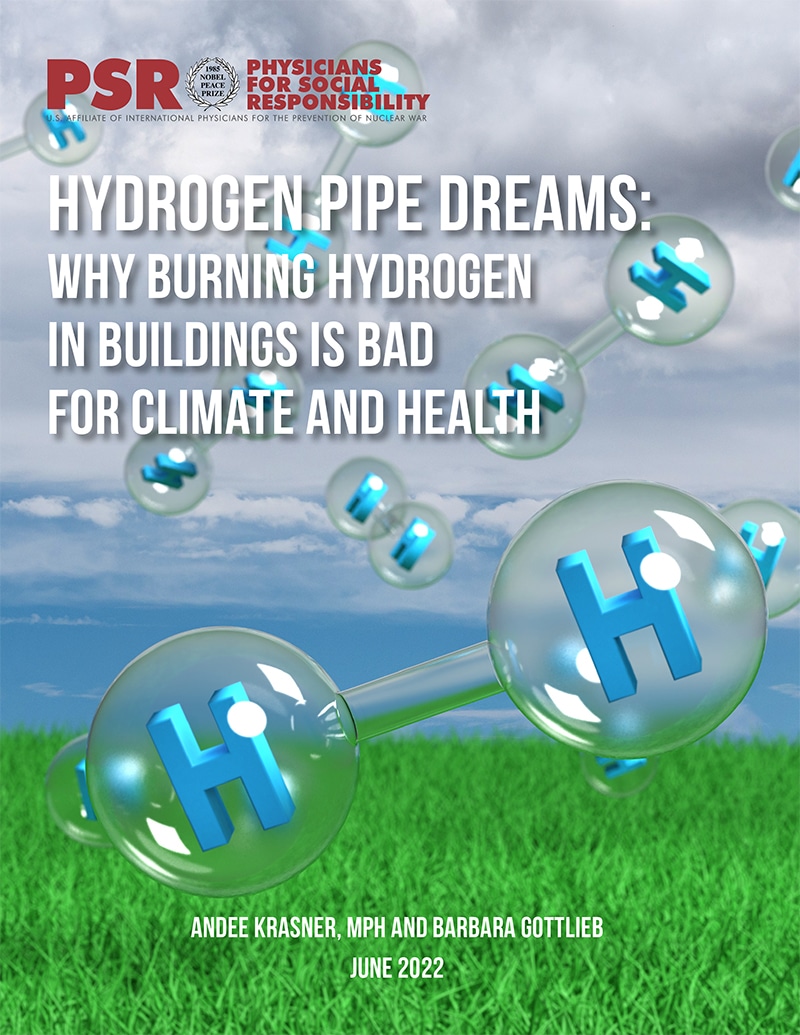 Hydrogen Pipe Dreams