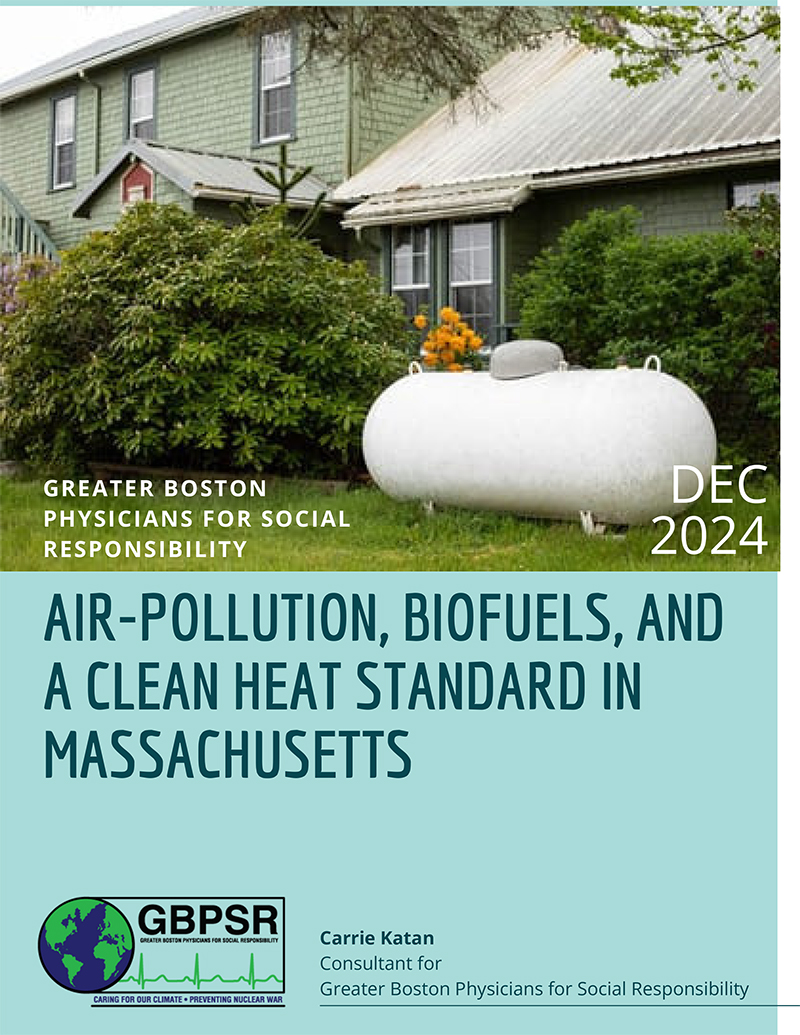 Air-Pollution, Biofuels, and a Clean Heat Standard in 