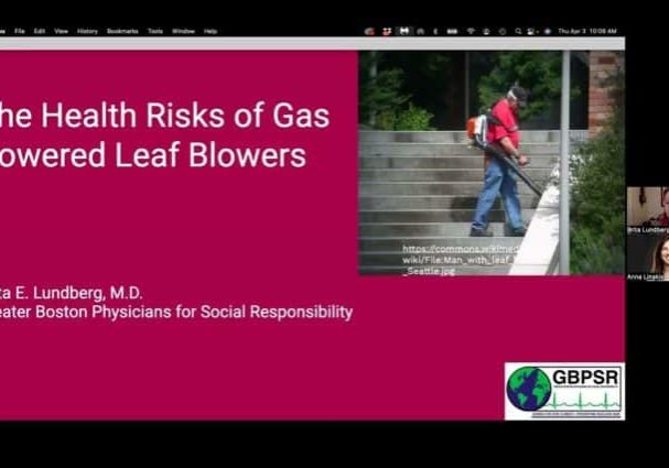 Gas Leaf Blowers